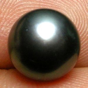 Pérola Negra